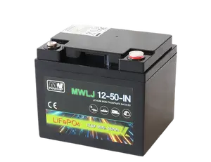 MW Power LiPo-12-50 LiFePO4 Lithium Iron Phosphate Battery 12.8V 50Ah with Bluetooth