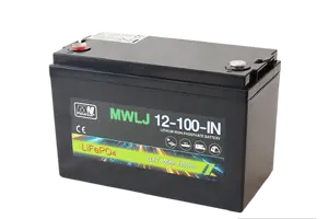 MW Power LiFePO4 Lithium Iron Phosphate Battery 12.8V 100Ah with Bluetooth