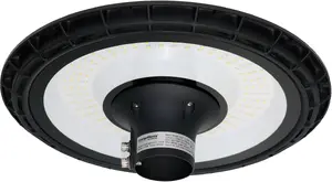 Opti LED Parklight PARKLIGHT-ECO/120W Park Light 120W 14400 lm Outdoor Lighting