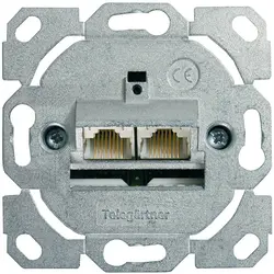 Telegärtner 100022956 socket-outlet 2 x RJ-45 Zinc