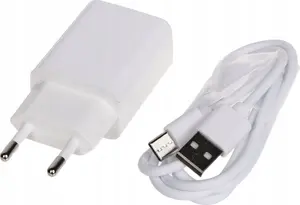 Сетевое зарядное устройство Delta Power с 1x USB-A и 1x USB-C портами 5V/1A