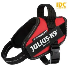 Trixie 14824 Шлейка для собак и кошек XS Photo 11