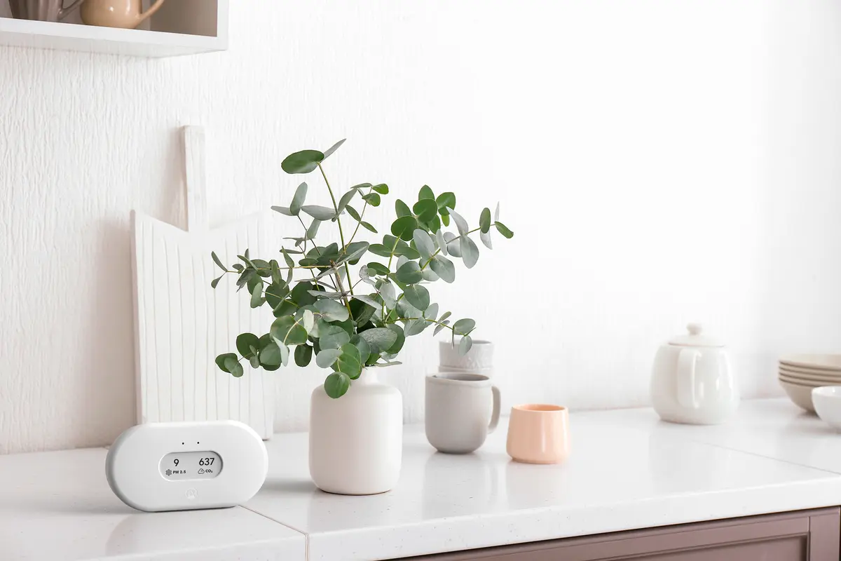 Airthings View Plus Smart Home Multi-Sensor Air Quality Monitor Photo 8