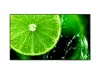 Sharp MultiSync E988 97.5 Inch 4K Digital Signage Panel Photo 2