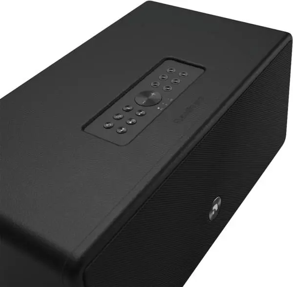 Audio Pro D-2 W Wireless Speaker Black Photo 2