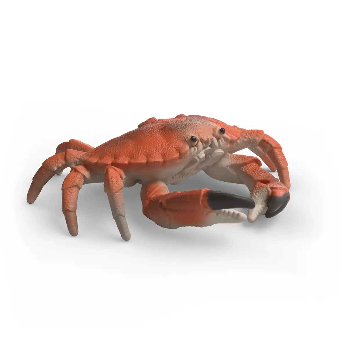 Schleich WILD LIFE Sea animals discovery set 42742 Photo 10