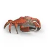 Schleich WILD LIFE Sea animals discovery set 42742 Photo 10