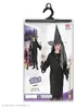 WIDMANN 02507 Witch Costume Prop Photo 4