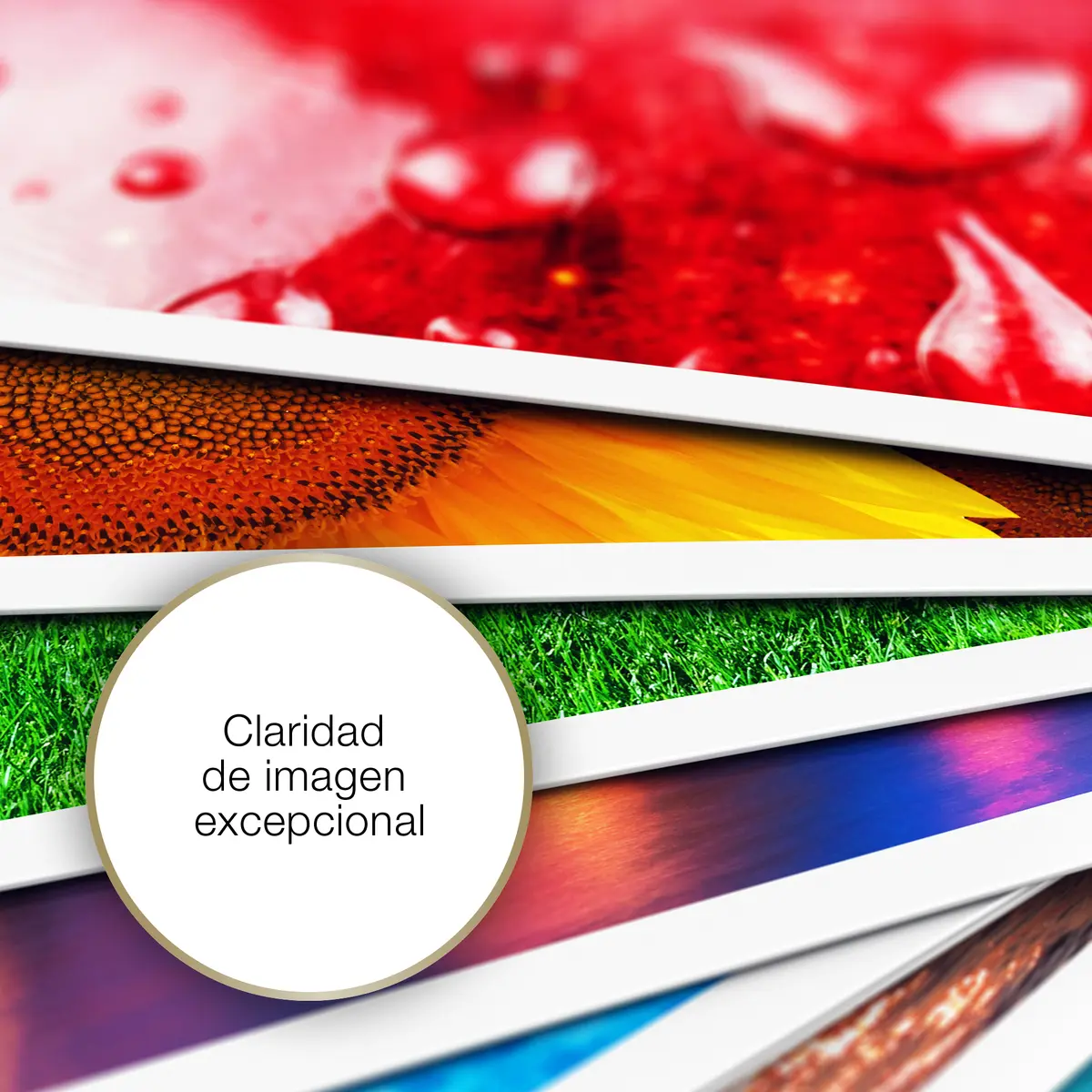 Epson Premium Glossy Photo Paper A4 255gsm 30 sheets Photo 4