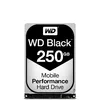 Western Digital WD2500LPLX Photo 1