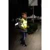 Safety vest Hama Automotive 00083920 Photo 2