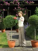 Dzīvžoga šķēres Black & Decker GSL300 Photo 2