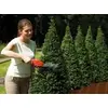 Dzīvžoga šķēres Black & Decker GSL300 Photo 5