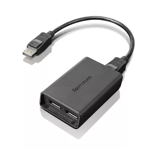 Lenovo DisplayPort to Dual-DisplayPort Monitor Cable USB A Черный