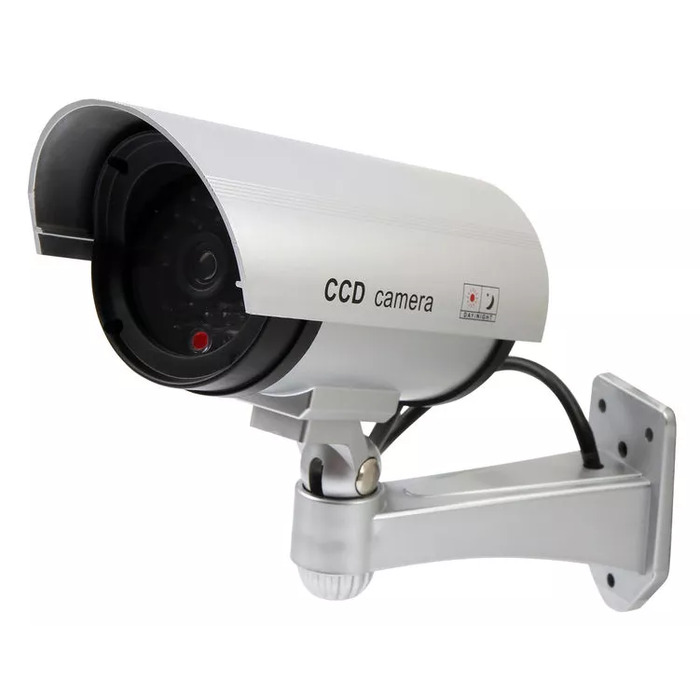 IP Cameras