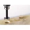 Цилиндрическое сверло Wolfcraft 3302000 Photo 2