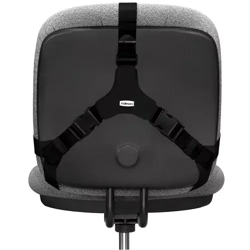 Back Support Fellowes Professional Series Ultimate Photo 3
