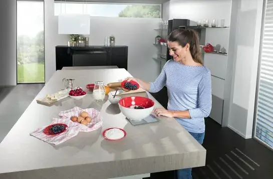 Electronic kitchen scales SOEHNLE Page Comfort 300 Slim Photo 14