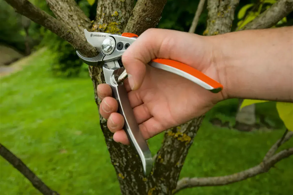 Zāles šķēres Gardena Premium BP 50 Photo 3