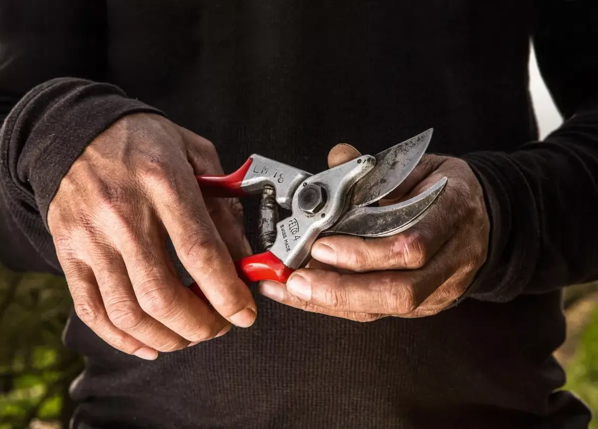 Секатор Felco 4 Photo 2
