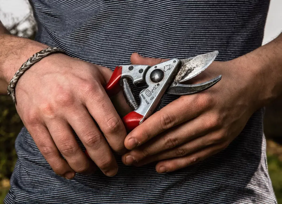 Секатор Felco 8 Photo 2