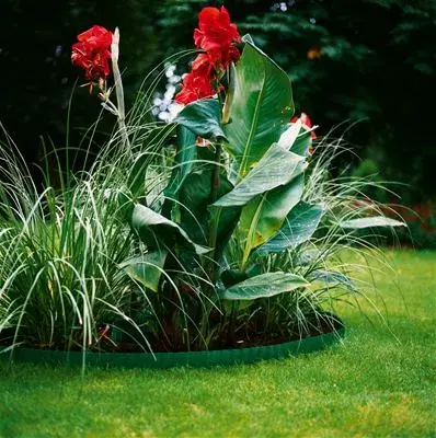 Garden edging roll Gardena 538-20 Photo 4