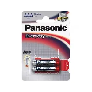 Alkaline AAA (LR03) Batteries Panasonic Everyday Power — 2 pcs