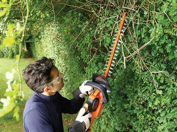 Dzīvžogu griezējs Black & Decker GTC18452PC Photo 2