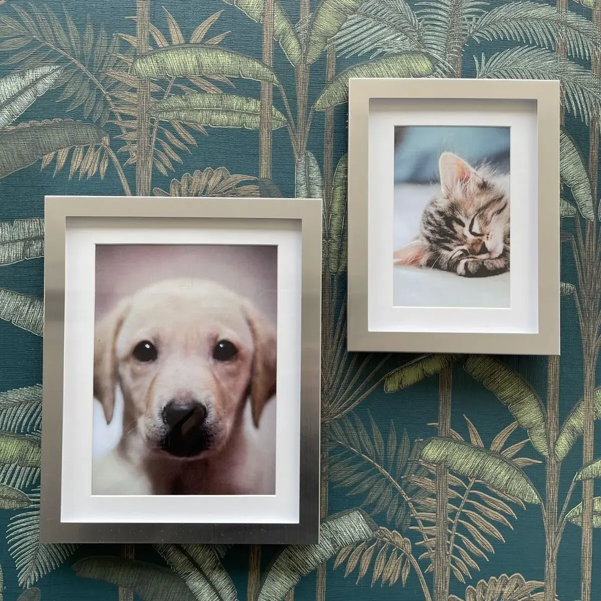 Single picture frame Zilverstad Nevada Photo 3