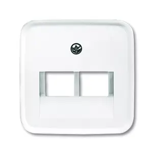 Wall plate cover, Busch-Jaeger 1753-0-8402, white, matte, 54×54 mm
