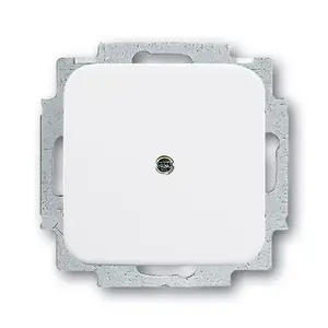 Electrical switch accessory Busch-Jaeger 2538-214 — white accessory for switches and frames