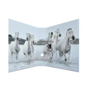 Ring binder A4 HERMA 7164 Photo 2