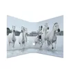 Ring binder A4 HERMA 7164 Photo 2