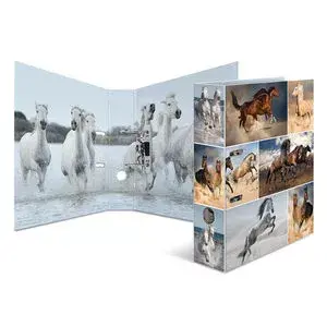 Ring binder A4 HERMA 7164 Photo 3