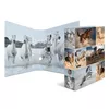 Ring binder A4 HERMA 7164 Photo 3