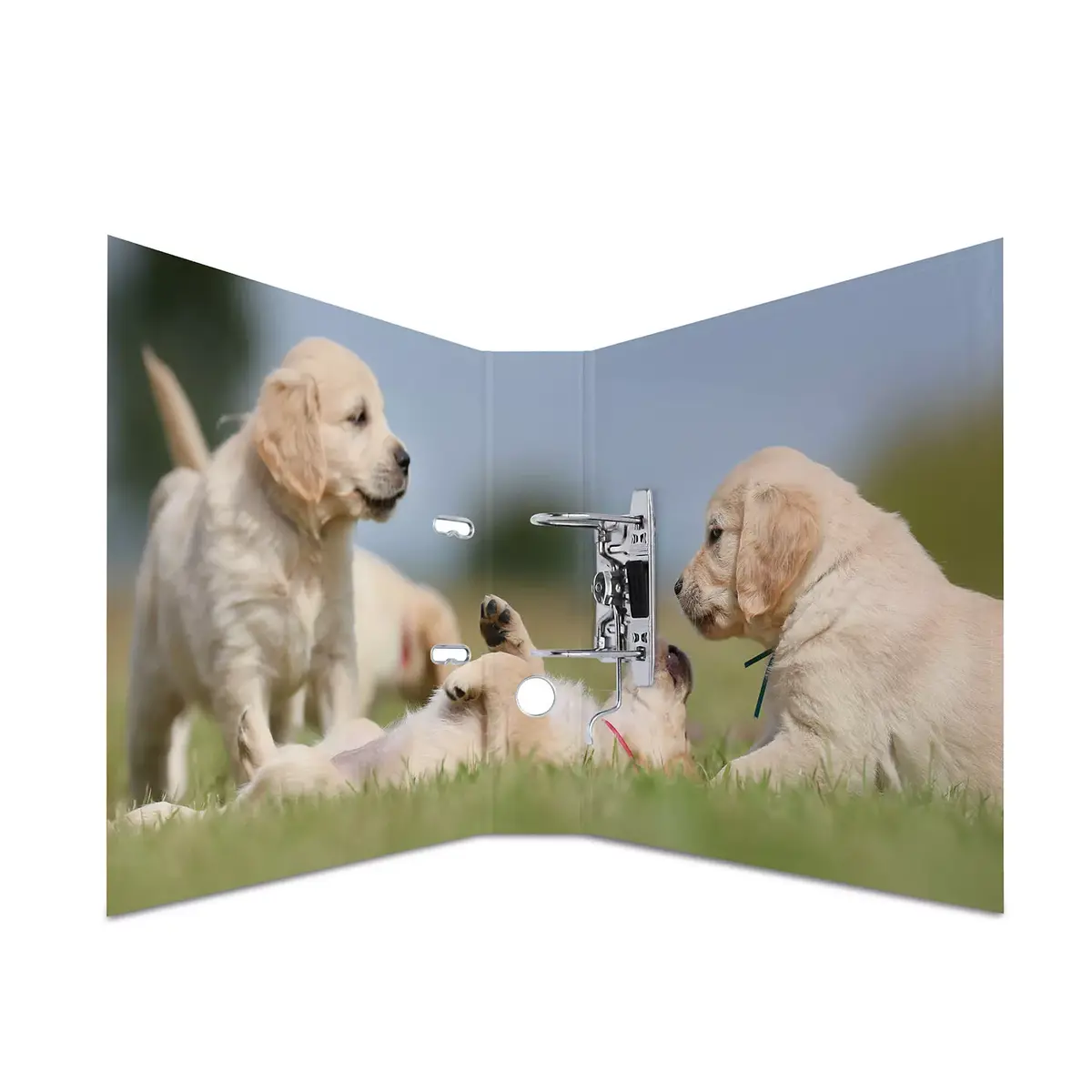 Ring binder HERMA 7165 Photo 2