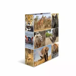 Ring binder A4 HERMA 7168 Multicolour