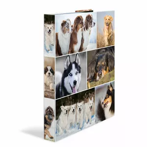 Ring binder HERMA 19358 A4 Multicolour