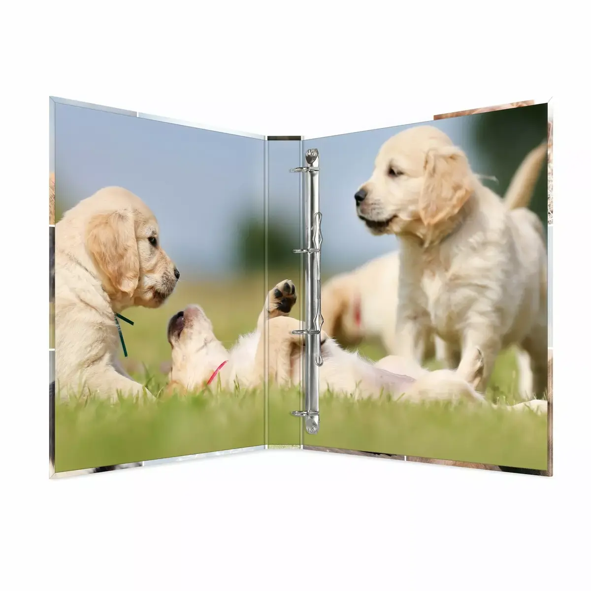 Ring binder HERMA 19358 Photo 2