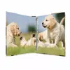 Ring binder HERMA 19358 Photo 2
