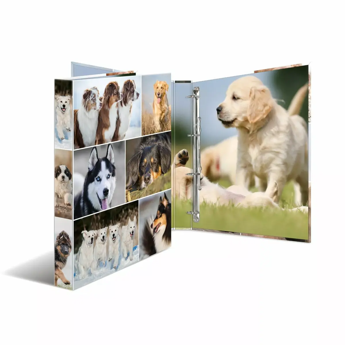 Ring binder HERMA 19358 Photo 3