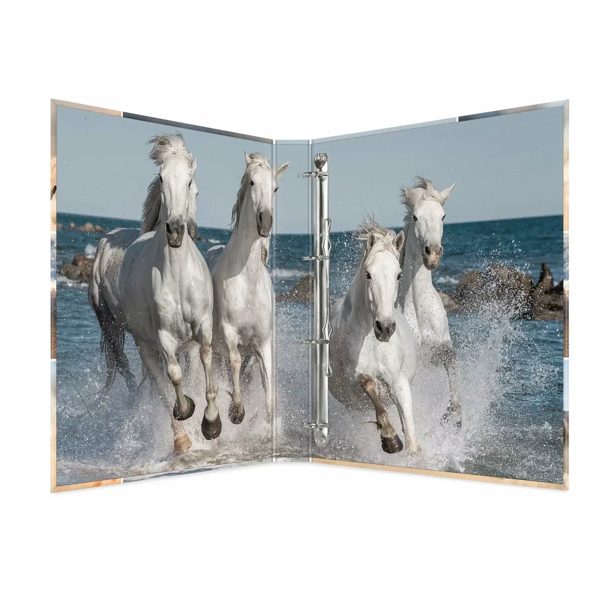 Ring binder A4 HERMA 19360 Photo 3