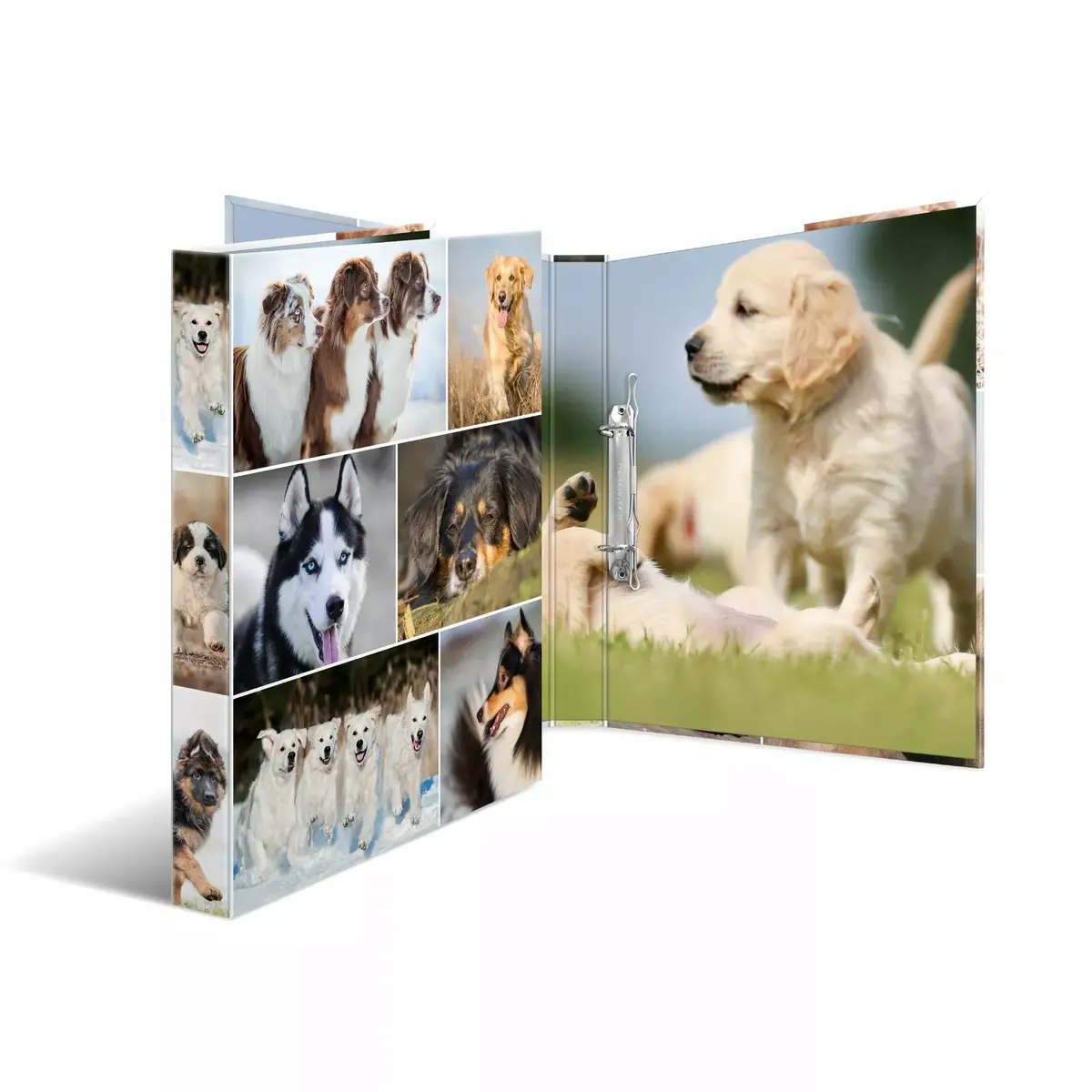 Ring binder HERMA 19427 A4 Photo 2