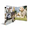 Ring binder HERMA 19427 A4 Photo 2