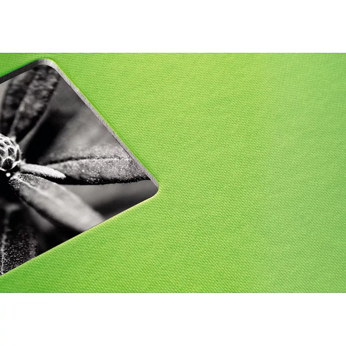 Fotoalbums Hama Fine Art Zaļš 50 lapas Photo 6