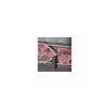 Wenger Eva 33 см (13") чехол для ноутбука Photo 3