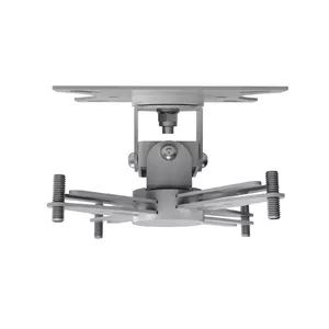Ceiling Mount Vision TM-CC