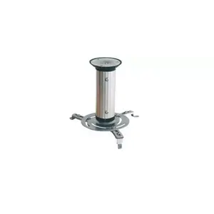 Ceiling Mount ShiverPeaks BS89761