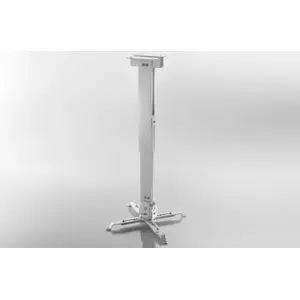 Ceiling Mount Celexon 1090283