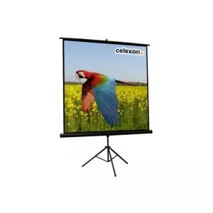 Celexon 1090016 projection screen 1:1